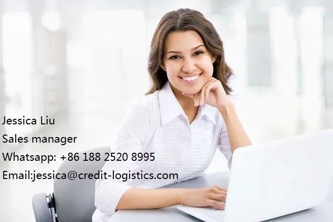 5 Days Fast Delivered Advantage Good Solution DHL Shipping to Europe