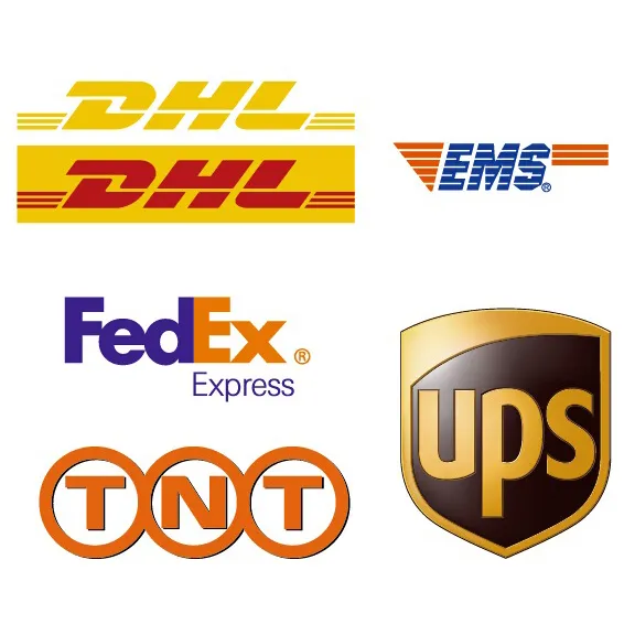 5 Days Fast Delivered Advantage Good Solution DHL Shipping to Europe