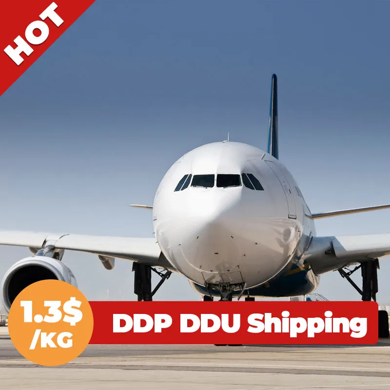 Air Shipping Agent/ Door to Door Transport Service/ DHL, UPS, FedEx TNT /From Shenzhen to Albania