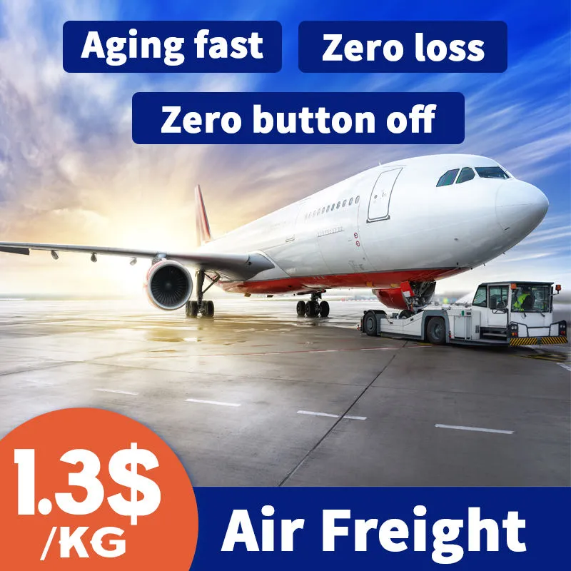 Air Shipping Agent/ Door to Door Transport Service/ DHL, UPS, FedEx TNT /From Shenzhen to Albania