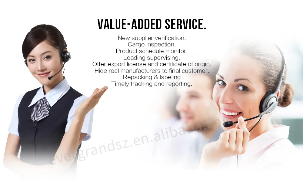 Door to Door Sea Ocean Freight From Guangzhou China to Tema Ghana Shipping Services DDP