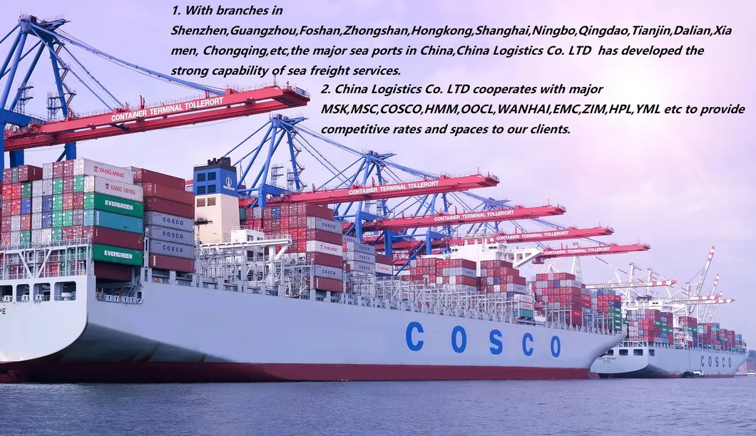 Best Air Express Fast Sea Shipping From Shenzhen to Caucedo/Lazaro Cardenas/Gdansk