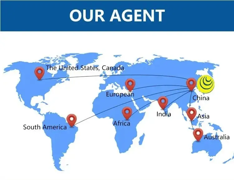 Best Air Express Fast Sea Shipping From Shenzhen to Caucedo/Lazaro Cardenas/Gdansk