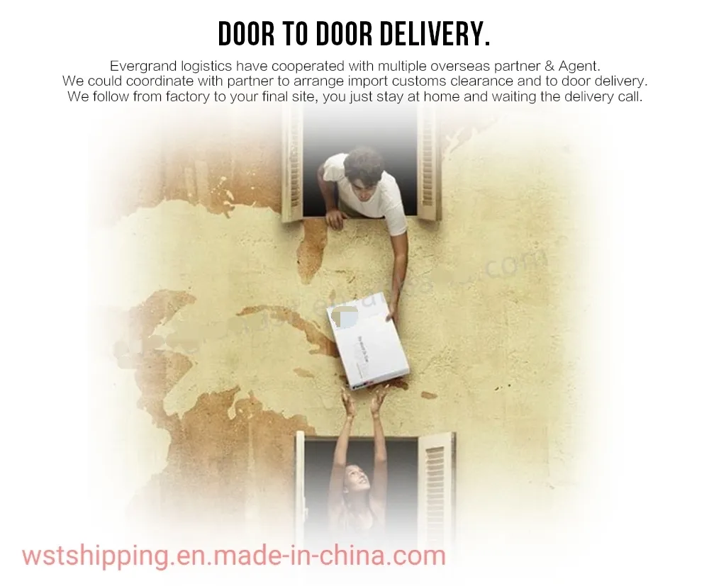Cheap Shipping Agent Logistics Freight Forwarder to Bangladesh/Nepal/New Caledonia Door to Door
