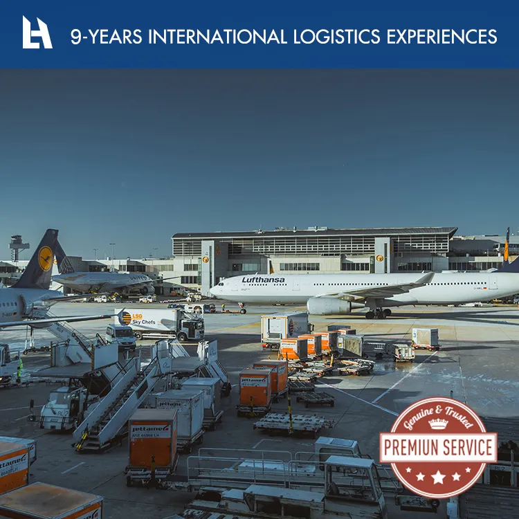 Cheapest DHL Express and 1688 Buying and From China to Hungary