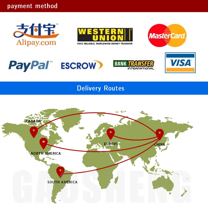 Cheapest Sea Freight Forwarder From China to USA/UK/Germany/Netherlands Cargo Services