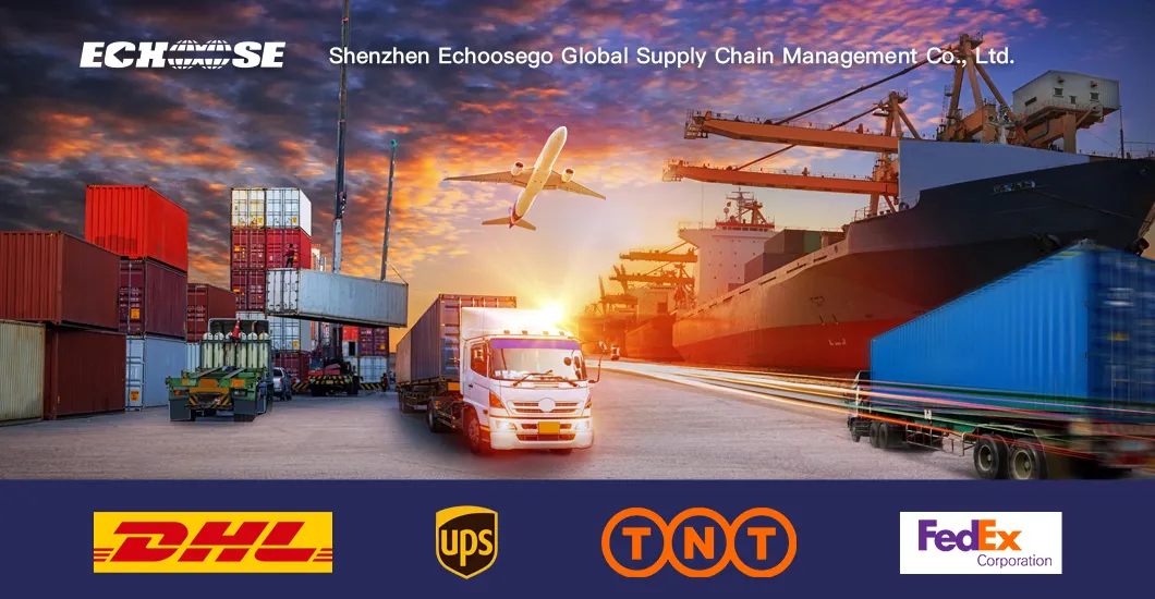 China′ S Experienced Ocean Freight Forwarder, Freight Forwarder, Brussels, Belgium, The United States, The United Kingdom, The Netherlands