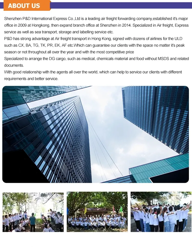 China Shipping Agent Logistics Service Air Freight to Norway