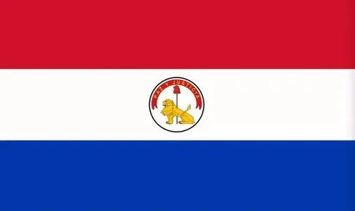 China to Paraguay Sea/Air Freight Courier DDU DAP EXW Coo Freight Forwarder