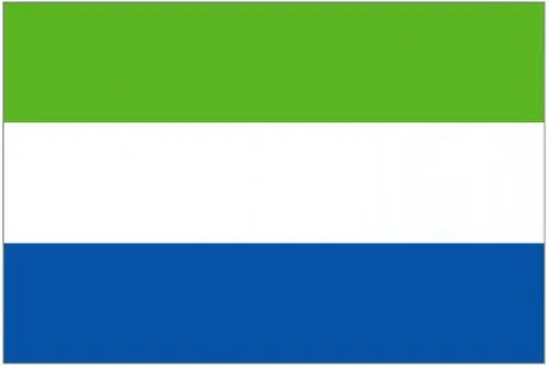 China to Sierra Leone Sea/Air Freight Courier DDU DAP EXW Coo Freight Forwarder