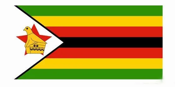 China to Zimbabwe Sea/Air Freight Courier DDU DAP EXW Coo Freight Forwarder