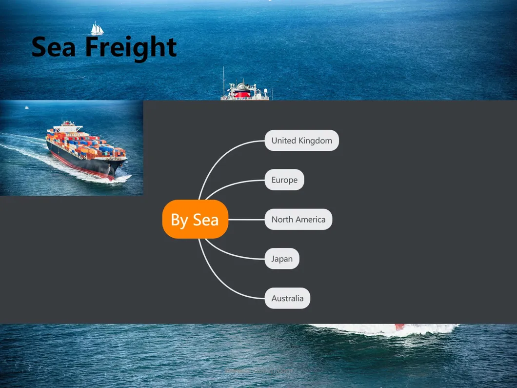Competitive DDU/DDP/Budapest Hungary Sea Freight