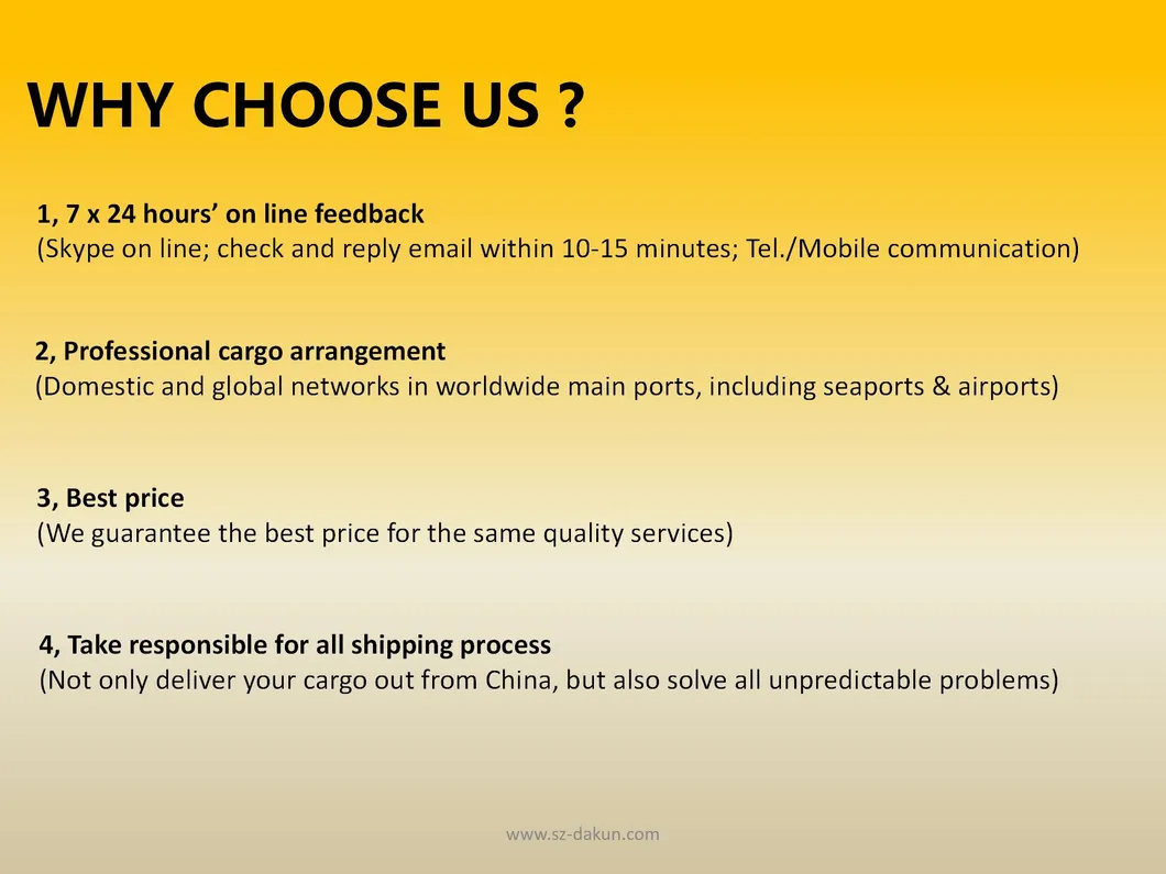 Competitive DDU/DDP/Budapest Hungary Sea Freight