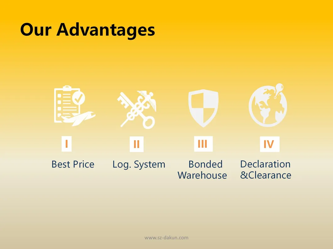 Competitive DDU/DDP/Budapest Hungary Sea Freight