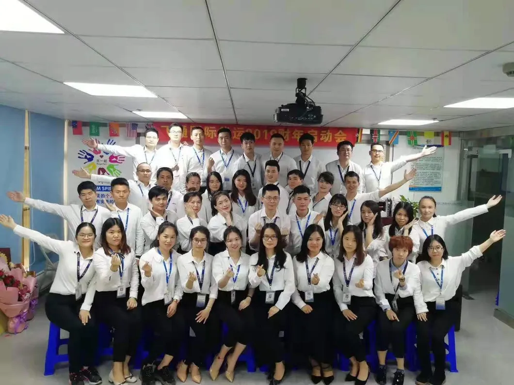 DDP Sea Cargo From Shenzhen/Shanghai/Guangzhou to Austin USA