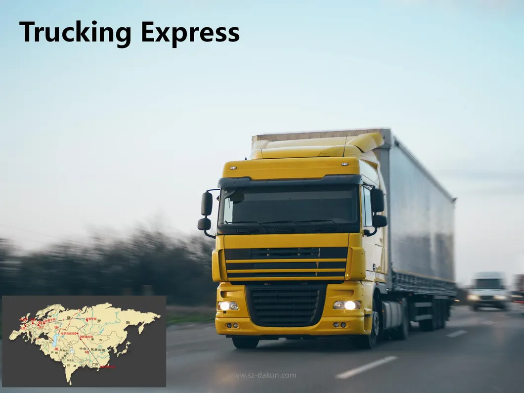 DDU Sydney/Melbourne Australia LCL Sea Freight with Express Door to Door