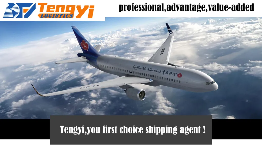 Door to Door DDP/DDU Shipping Agent Logistics Service From China to Newcastle Upon Tyne/Norwich/Nottingham Europe/ UK/ United Kingdom