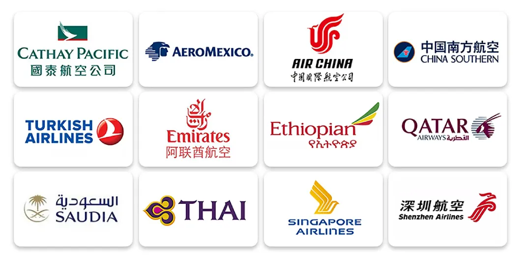 Door to Doot Fast Safe Air Freight Shipping Forwarder Agent From China to Worldwide