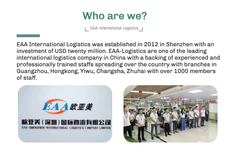 Eaa Parcel Forwarding to USA UK Germany Canada Door to Door Amazon Air Shipping Freight Forwarder Clearing an