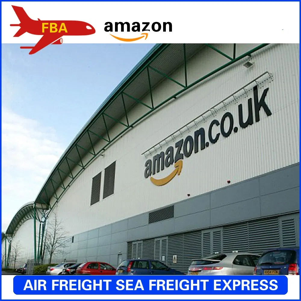 Express Door to Door Fba Amazon DDP DDU From China to Saint Lueia/Saint Vincent /Samoa Eastern /Samoa Western /San Marino/Sao Tome and Principe Aircargo Forward