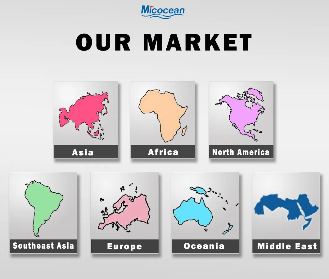 FCL / LCL Sea Freight Service From China to Reunion Island