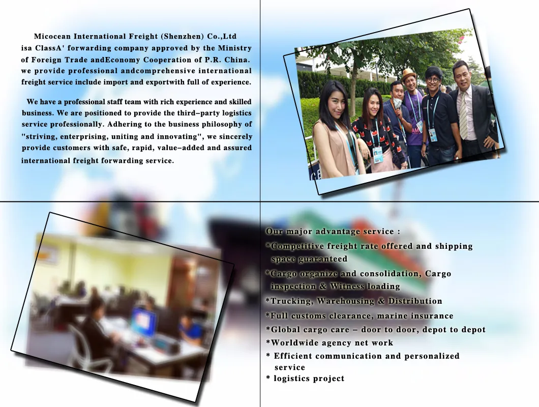 FCL / LCL Sea Freight Service From China to Reunion Island