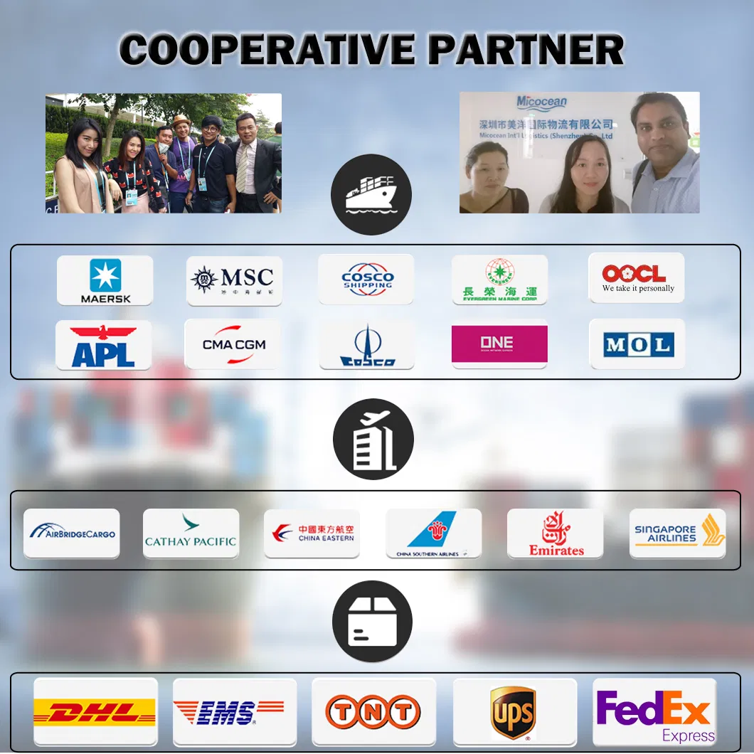 FCL / LCL Sea Freight Service From China to Reunion Island