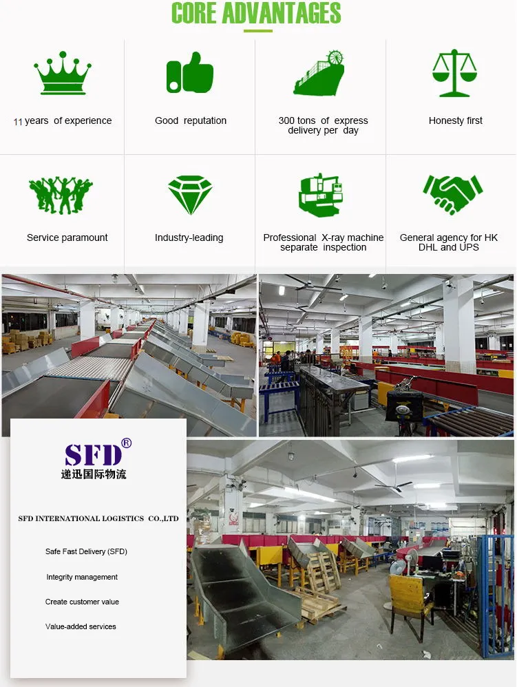 FedEx DHL UPS Agent From China to South Africa Logistics