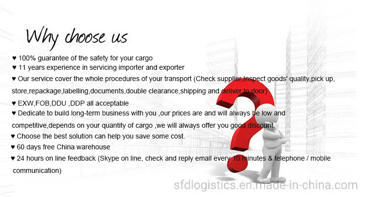 FedEx DHL UPS Agent From China to South Africa Logistics
