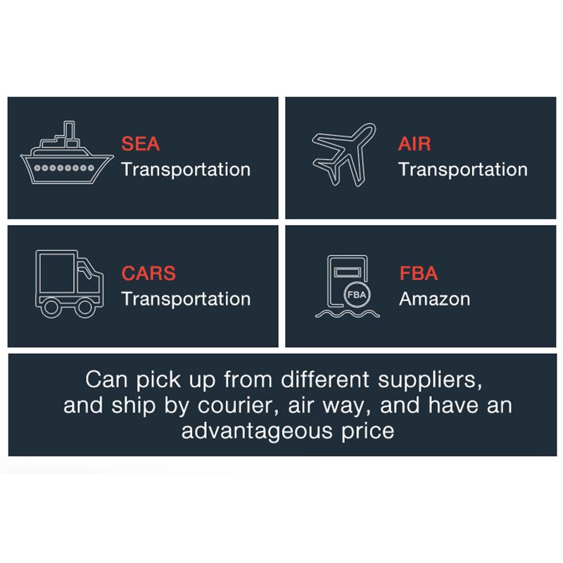 FedEx Freight Forwarder Logistics Express From China to Estonia
