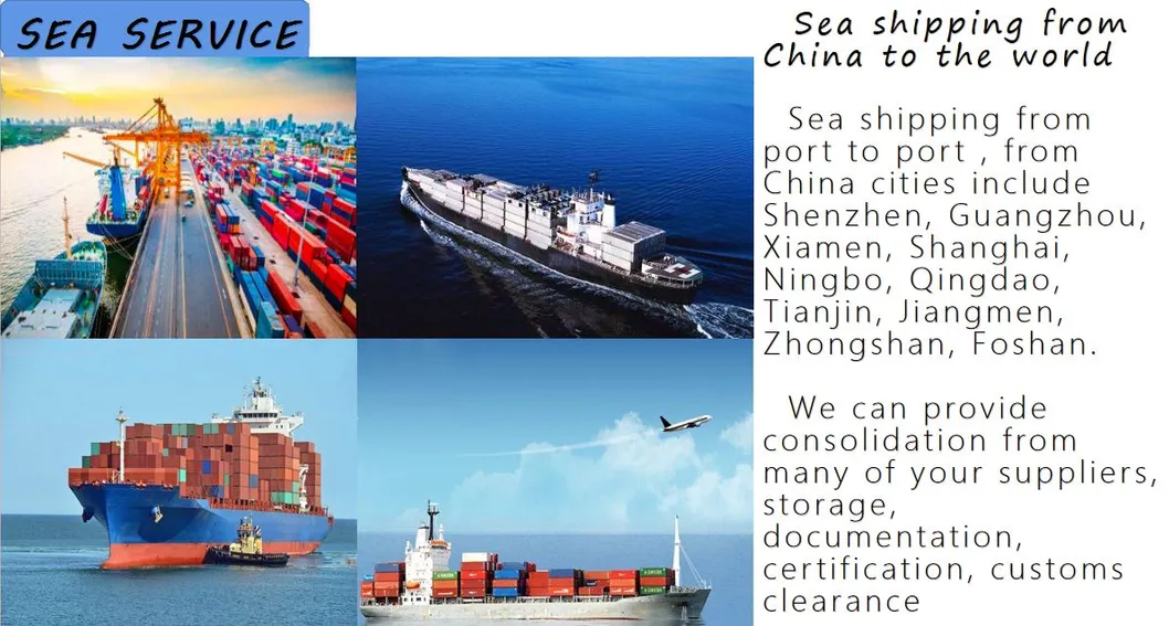 Freight Forwarder LCL Sea Shipping Agent From China to Montenegro