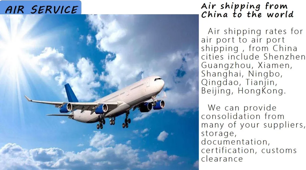 Freight Forwarder LCL Sea Shipping Agent From China to Montenegro