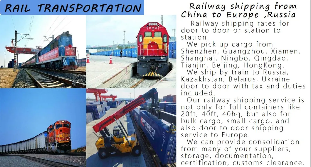 Freight Forwarder LCL Sea Shipping Agent From China to Montenegro