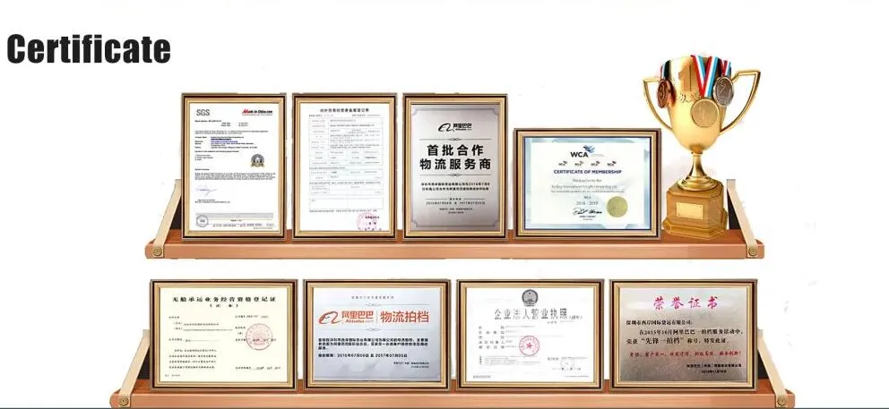 Import Agent in Sea Shipping Logistics Service to China