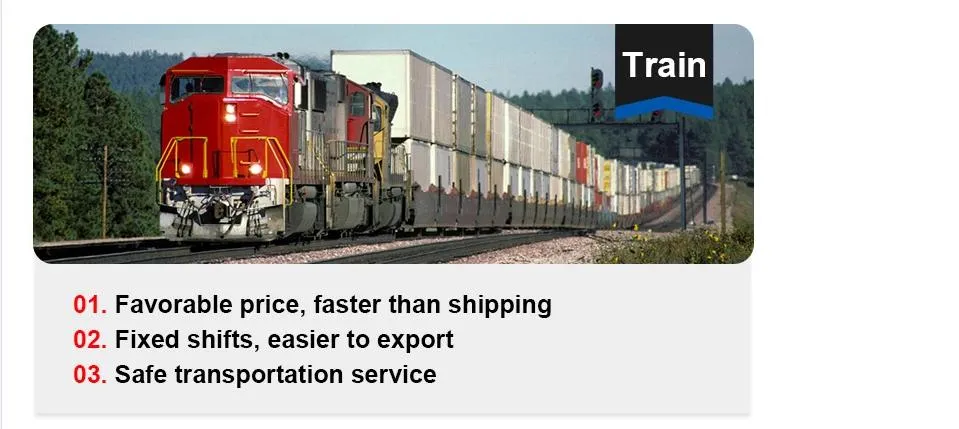 International Air Freight Air Cargo Air Shipping Service Agent From China to Lusaka/Tunis/Dar Es Salaam/Mahe Island