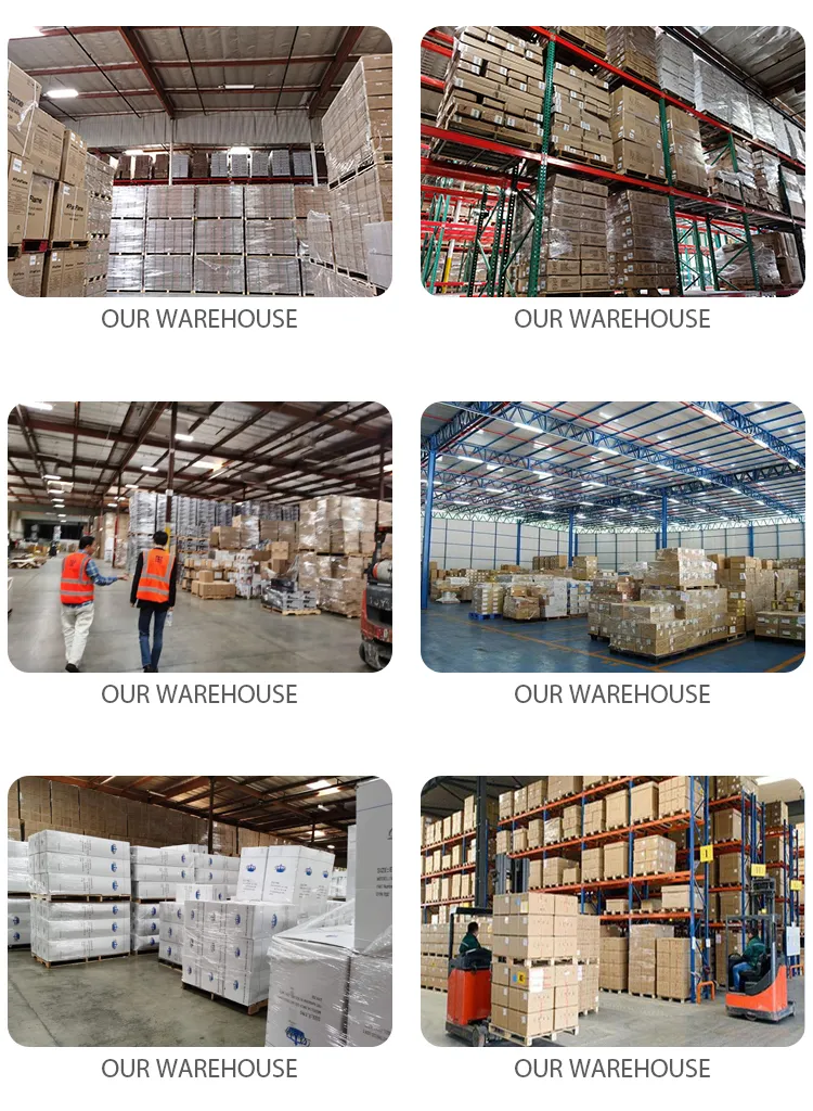 International Sea Freight Shipping Agent Service From China to Djibouti