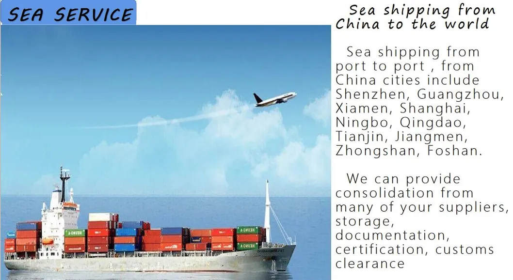 Lowest Price Freight Forwarder Sea Freight Shipping China to Senegal