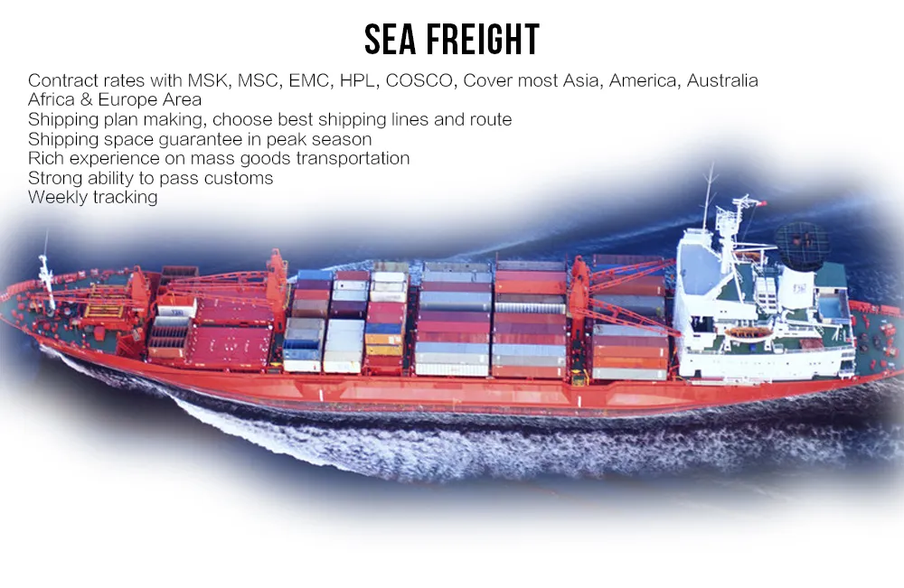 Door to Door Sea Ocean Freight From Guangzhou China to Tema Ghana Shipping Services DDP