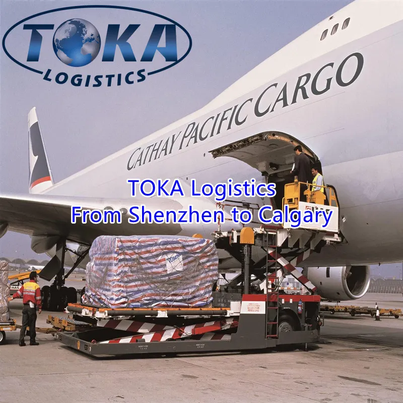 Popular, Durable, Large-Capacity Power Bank From Shenzhen to Cardiff by Air Freight