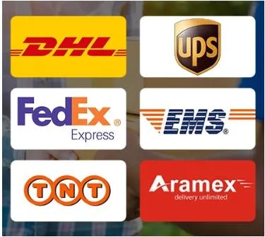 Professional DHL/FedEx/UPS/TNT Shipping Agent From China to Worldwide
