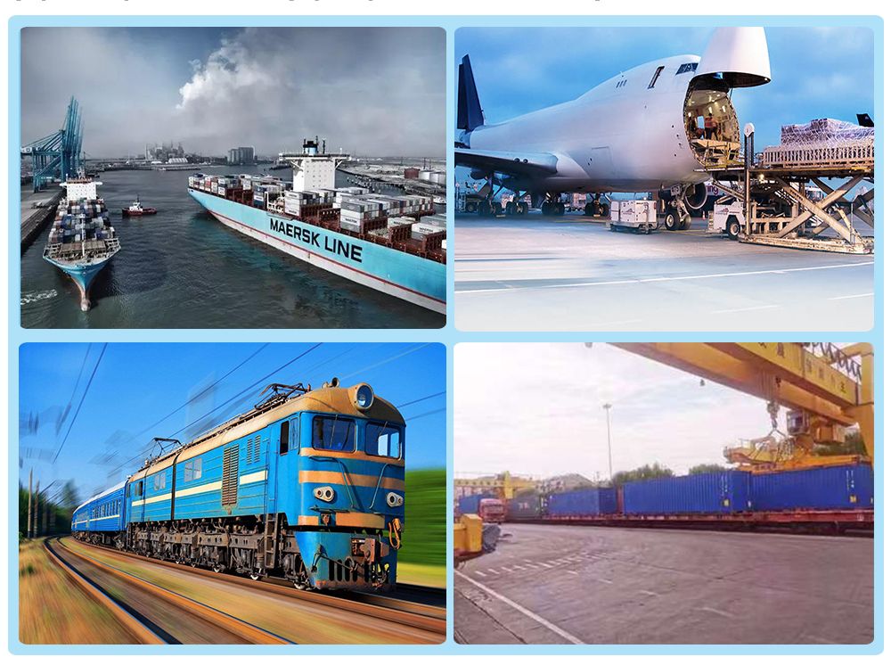 Professional Freight Forwarder International Logistics Marine Forwarder Qingdao to Umm Qasar
