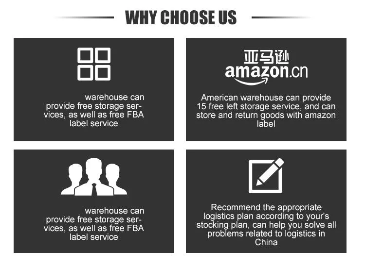 Professional Sea Freight Forwarder Agent Shipping From China to Lantin American/ Manzanillo