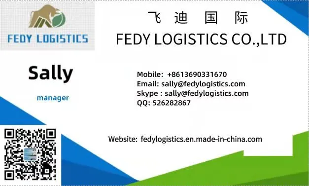 Professional Sea Freight Forwarder Agent Shipping From China to Lantin American/ Manzanillo