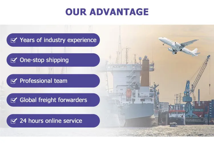 Professional Shipping Agent DHL UPS FedEx TNT Aramex EMS Express Service From Shenzhen to Moldova