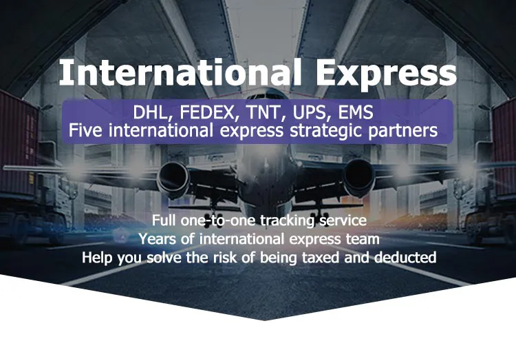 Professional Shipping Agent DHL UPS FedEx TNT Aramex EMS Express Service From Shenzhen to Moldova