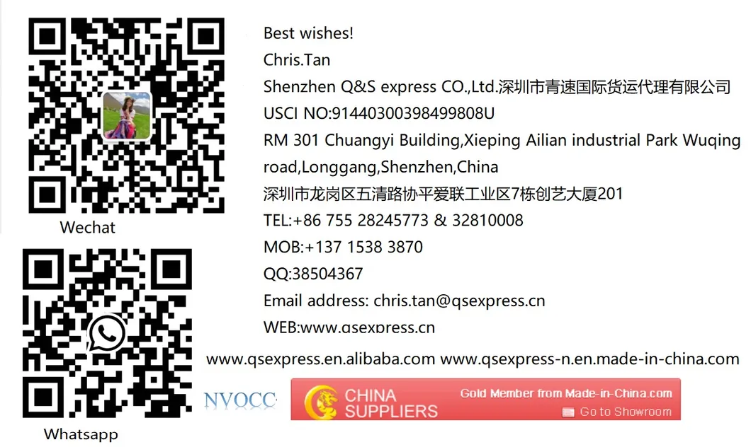 QS Cheap Combined Transport Shipping Sea Train to Slovenia