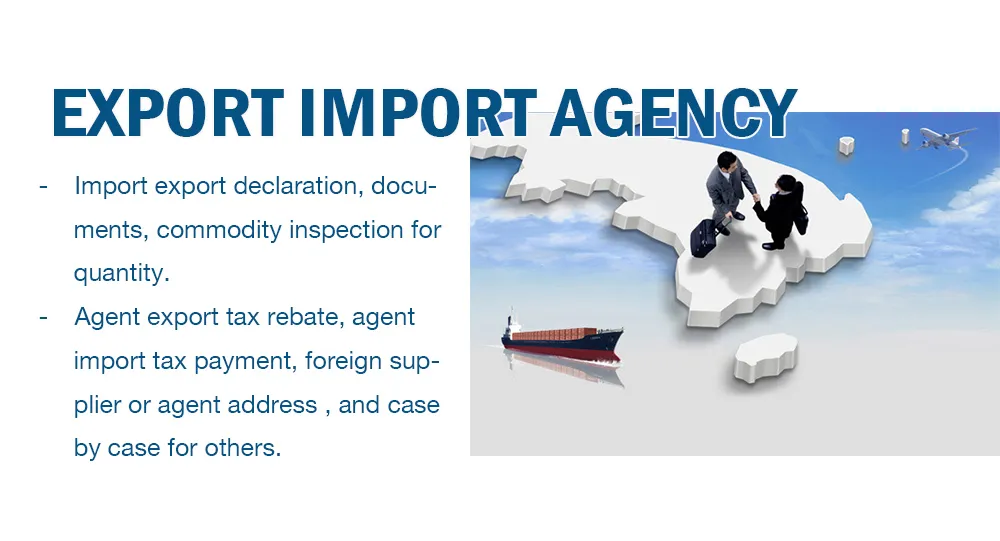 Sea Freight China to Pointe Des Galets Reunion Top 10 Professional Cheapest Reliable Freight Forwarder and Shipping Agent