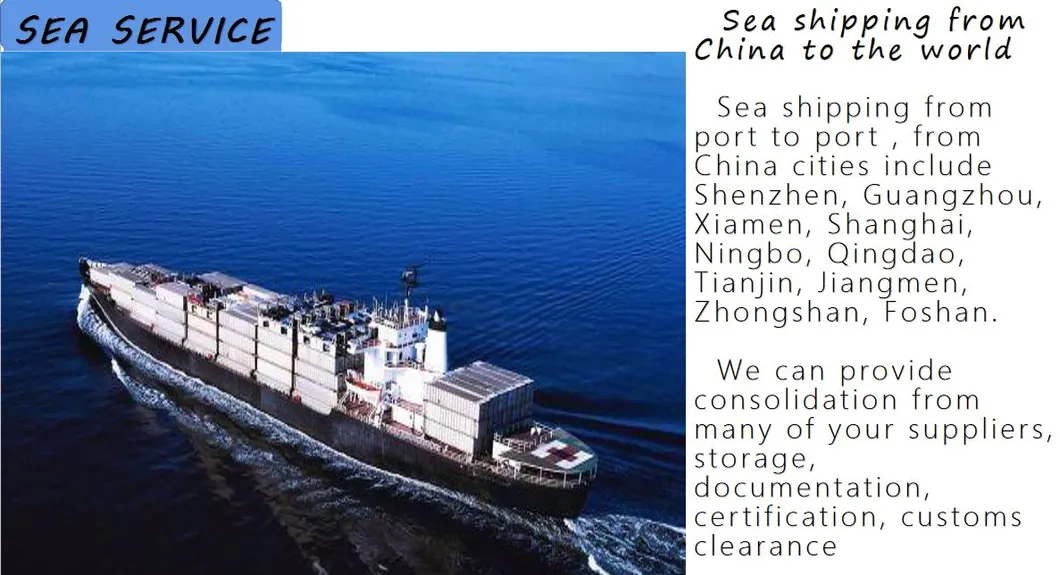 Sea Shipping Freight Forwarder 20 FT 40FT 40hc 45hc Container From China to Dammam, Jeddah, Jubail, Riyadh Saudi Arabia
