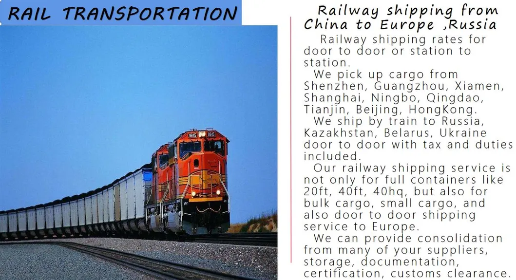 Sea Shipping Freight Forwarder 20 FT 40FT 40hc 45hc Container From China to Dammam, Jeddah, Jubail, Riyadh Saudi Arabia