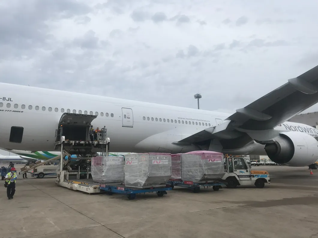 Cheap Air/Sea Cargo Services Shipping Rates Fba Amazon Freight Forwarder From China to USA/Europe/Worldwide Logistics Agent